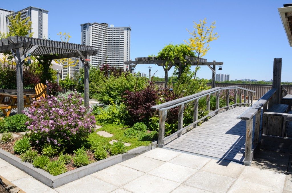 garden in urban setting