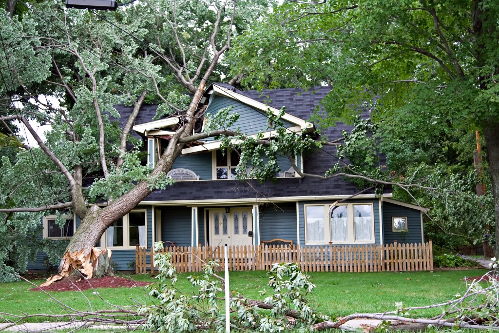tree fell on house