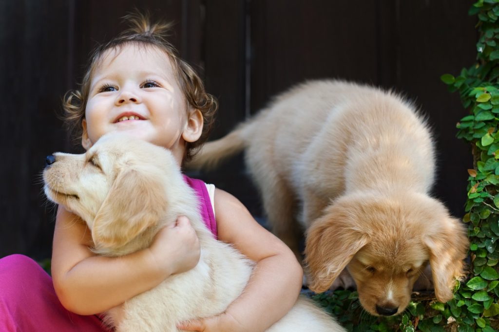 dogs and a baby