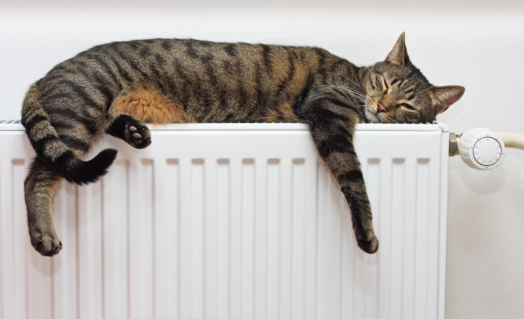 cat sleeping on top of a heater